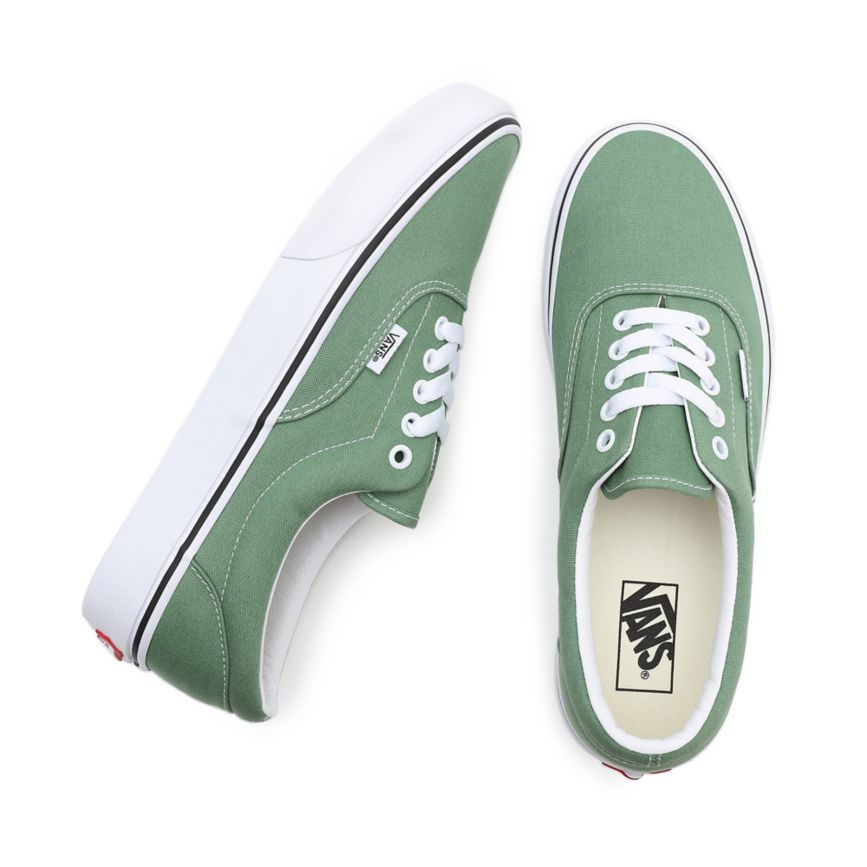 Vans Era Shoes Green | VN154L0DF90