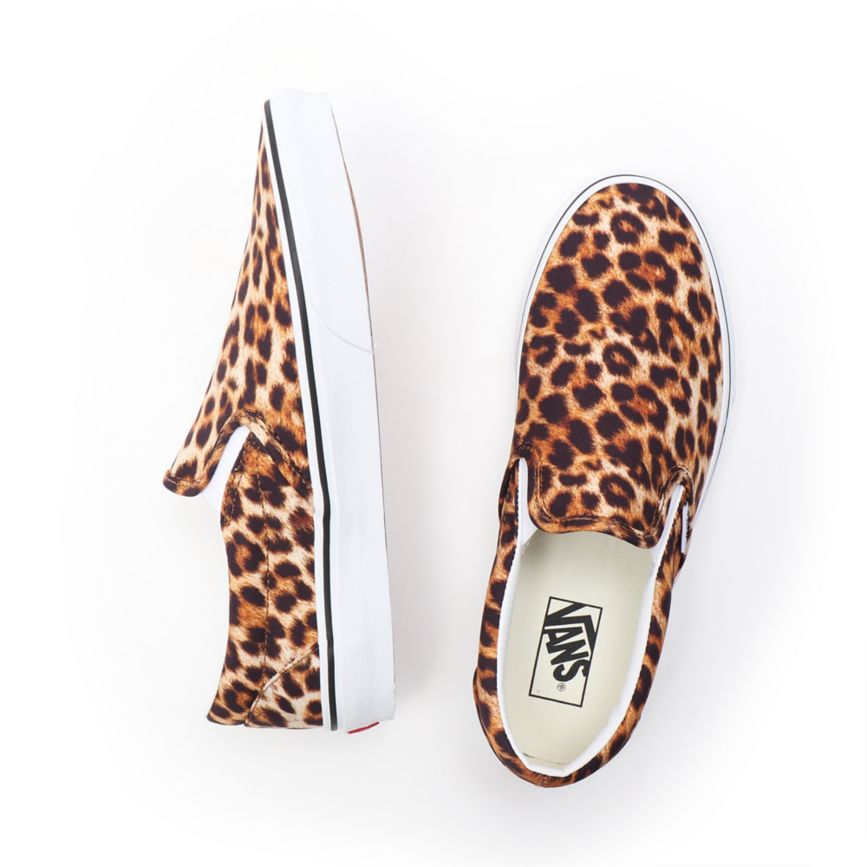 Vans Leopard Classic Slip-On Shoes Leopard | VN011J5BN25