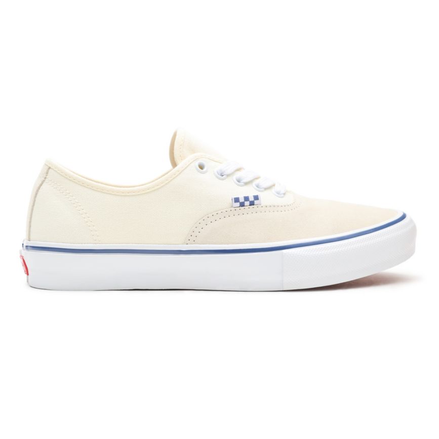 Vans Skate Authentic Shoes White | VN698W1PW69