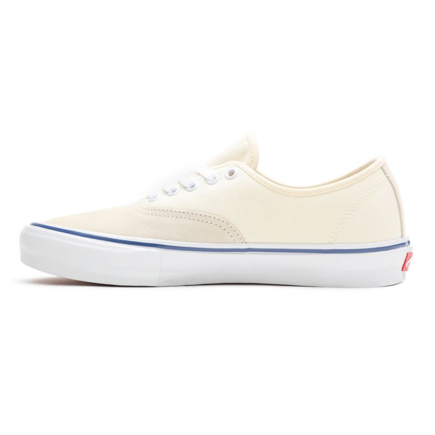 Vans Skate Authentic Shoes White | VN698W1PW69