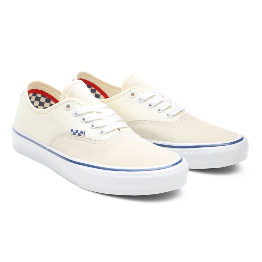 Vans Skate Authentic Shoes White | VN698W1PW69